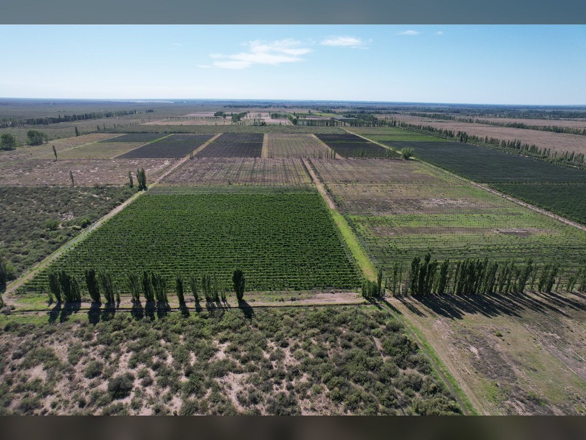 🍇 Finca Vitivinícola de 405 Ha con Viñedos Premium y Gran Potencial de Desarrollo