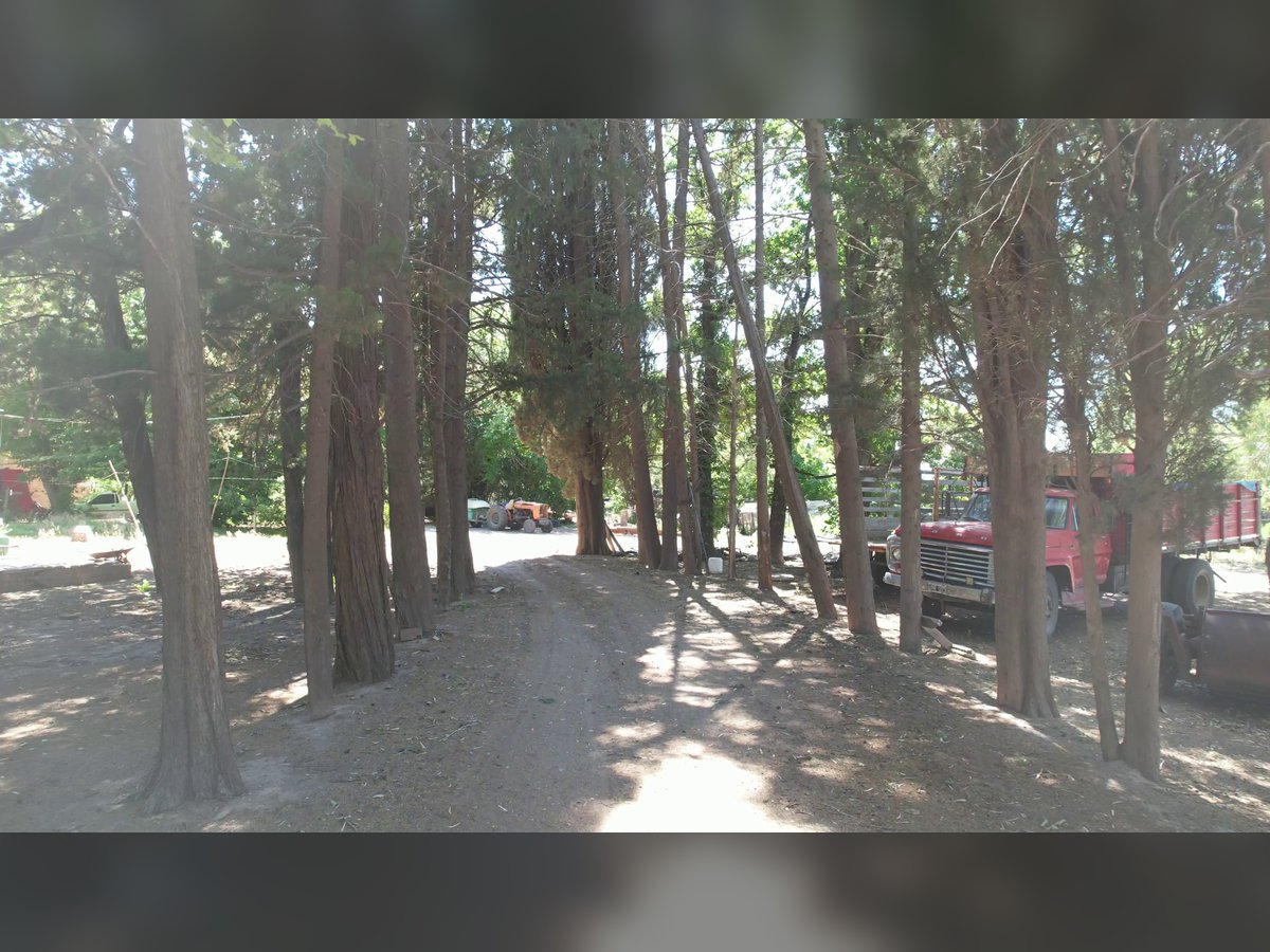 🍇 Finca Vitivinícola de 405 Ha con Viñedos Premium y Gran Potencial de Desarrollo