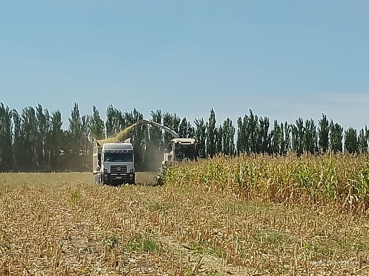 🐂 Campo Productivo de 27 Ha Totalmente Equipado en General Alvear