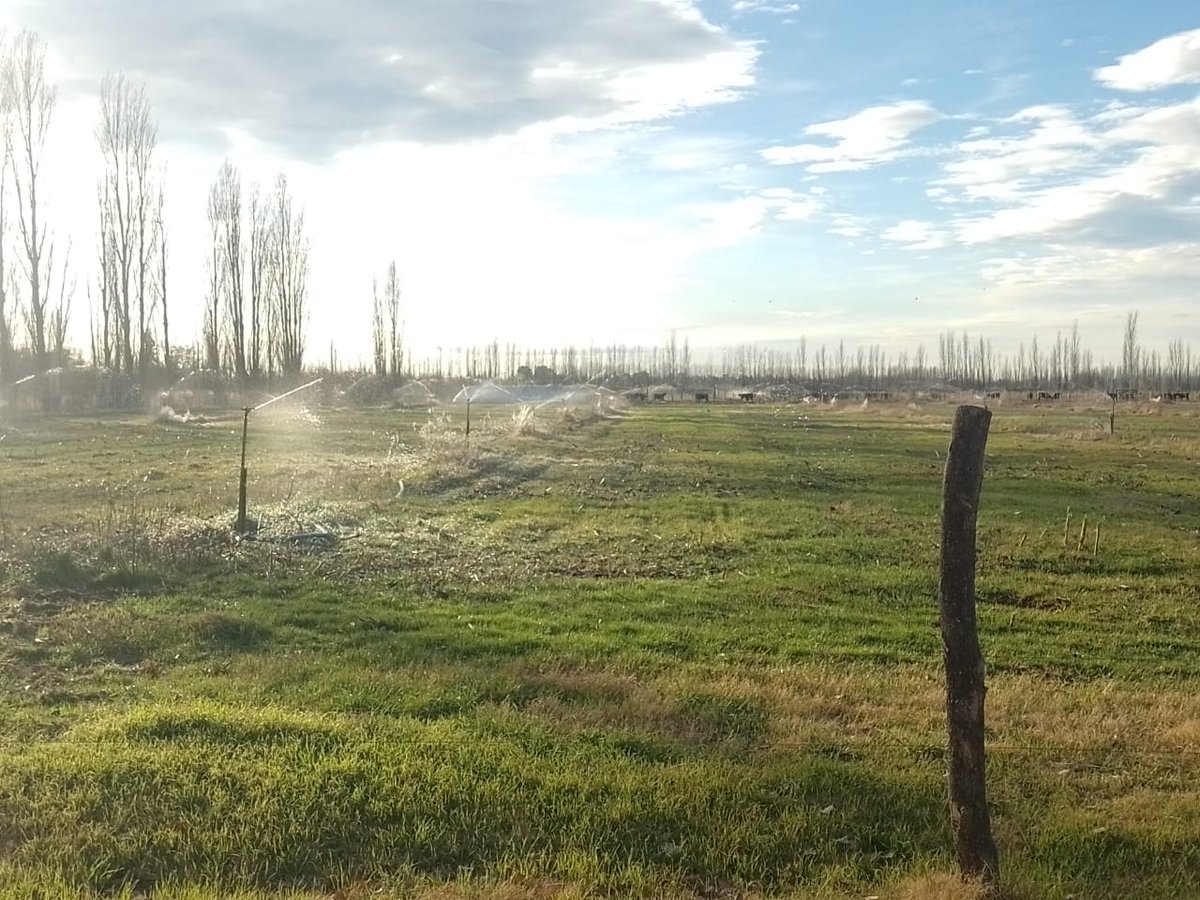 🐂 Campo Productivo de 27 Ha Totalmente Equipado en General Alvear