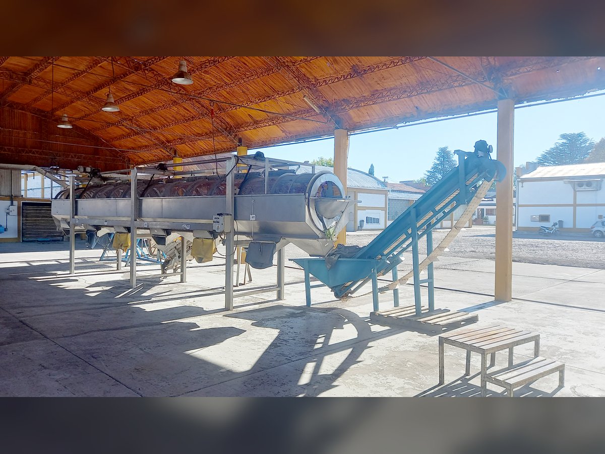 🏭 Galpones Industriales con Frigorífico y 7.200 m² Cubiertos