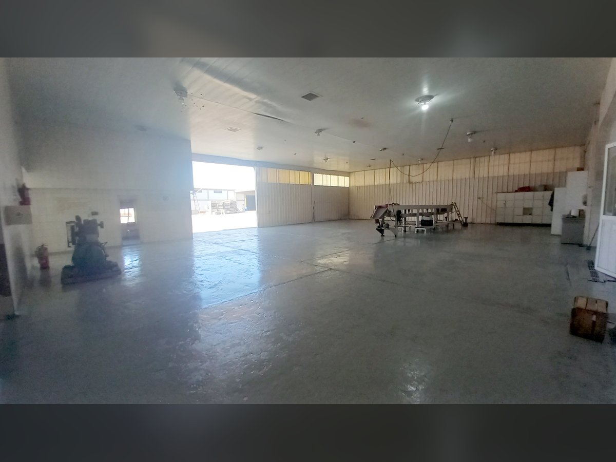 🏭 Galpones Industriales con Frigorífico y 7.200 m² Cubiertos